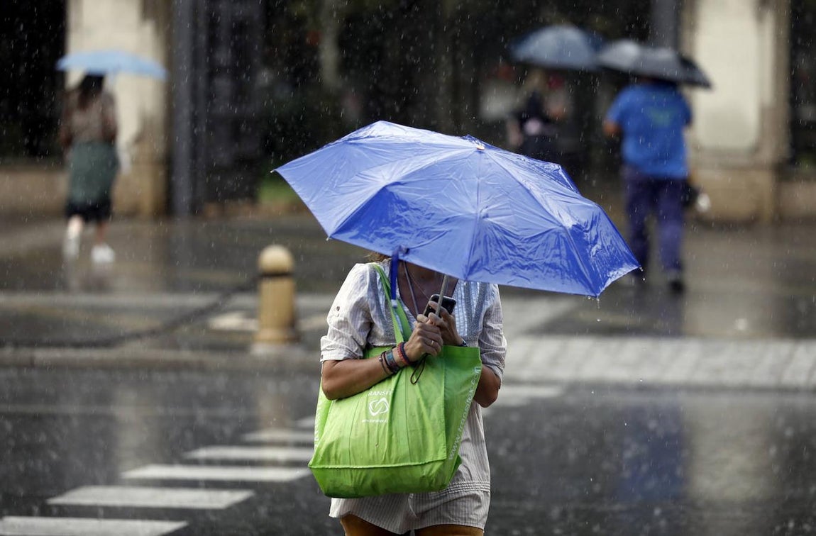 El regreso de las lluvias a Córdoba, en imágenes