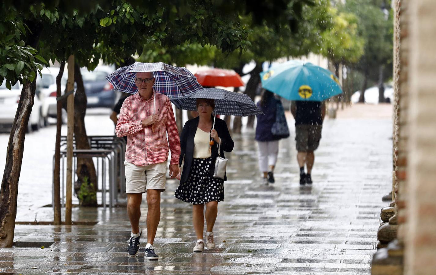 El regreso de las lluvias a Córdoba, en imágenes