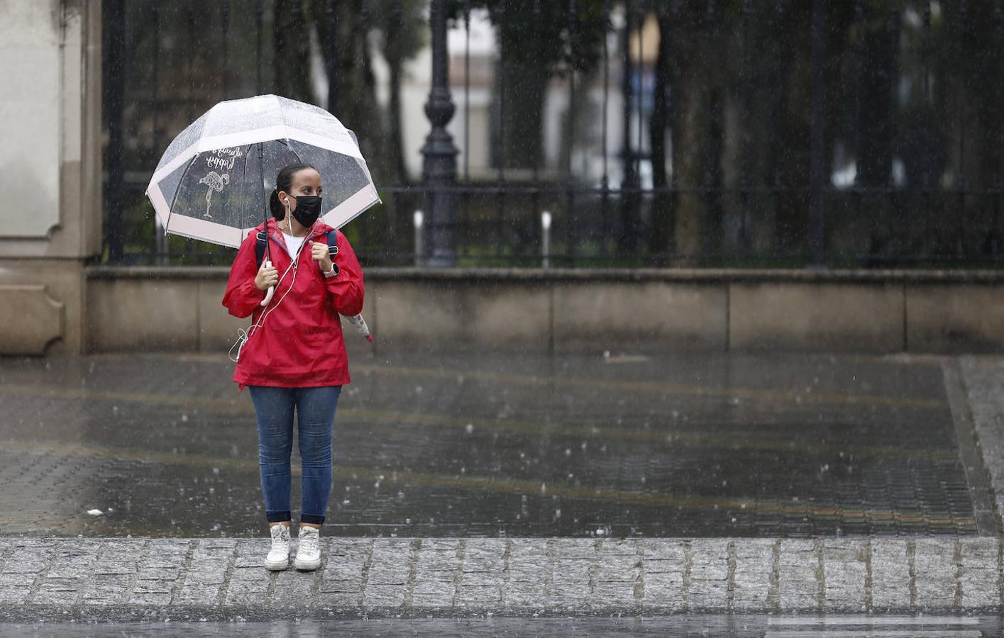 El regreso de las lluvias a Córdoba, en imágenes