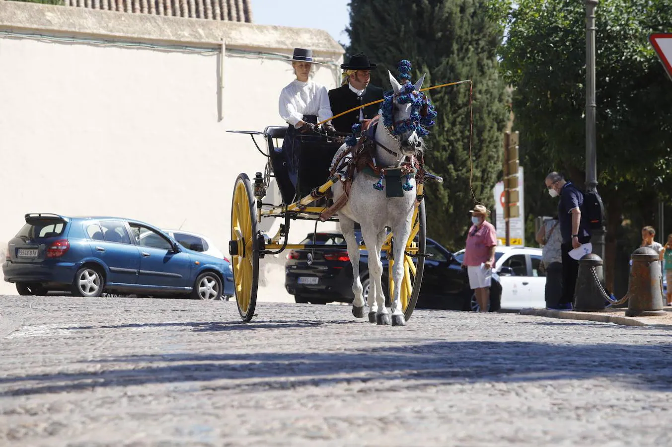 Cabalcor | El concurso de Atalajes de Tradición en Córdoba, en imágenes