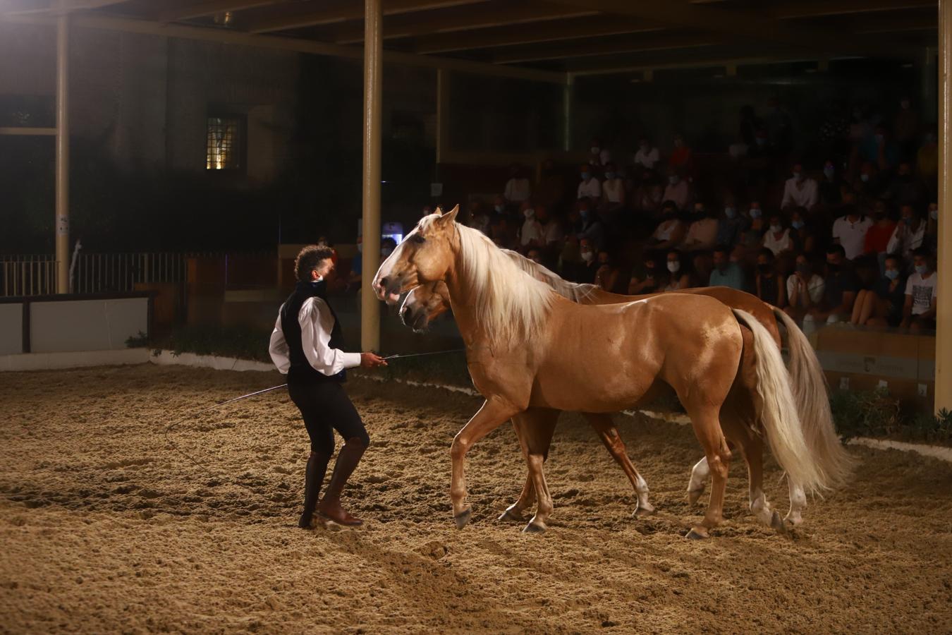 El espectáculo &#039;Armonía Ecuestre&#039; de Cabalcor, en imágenes