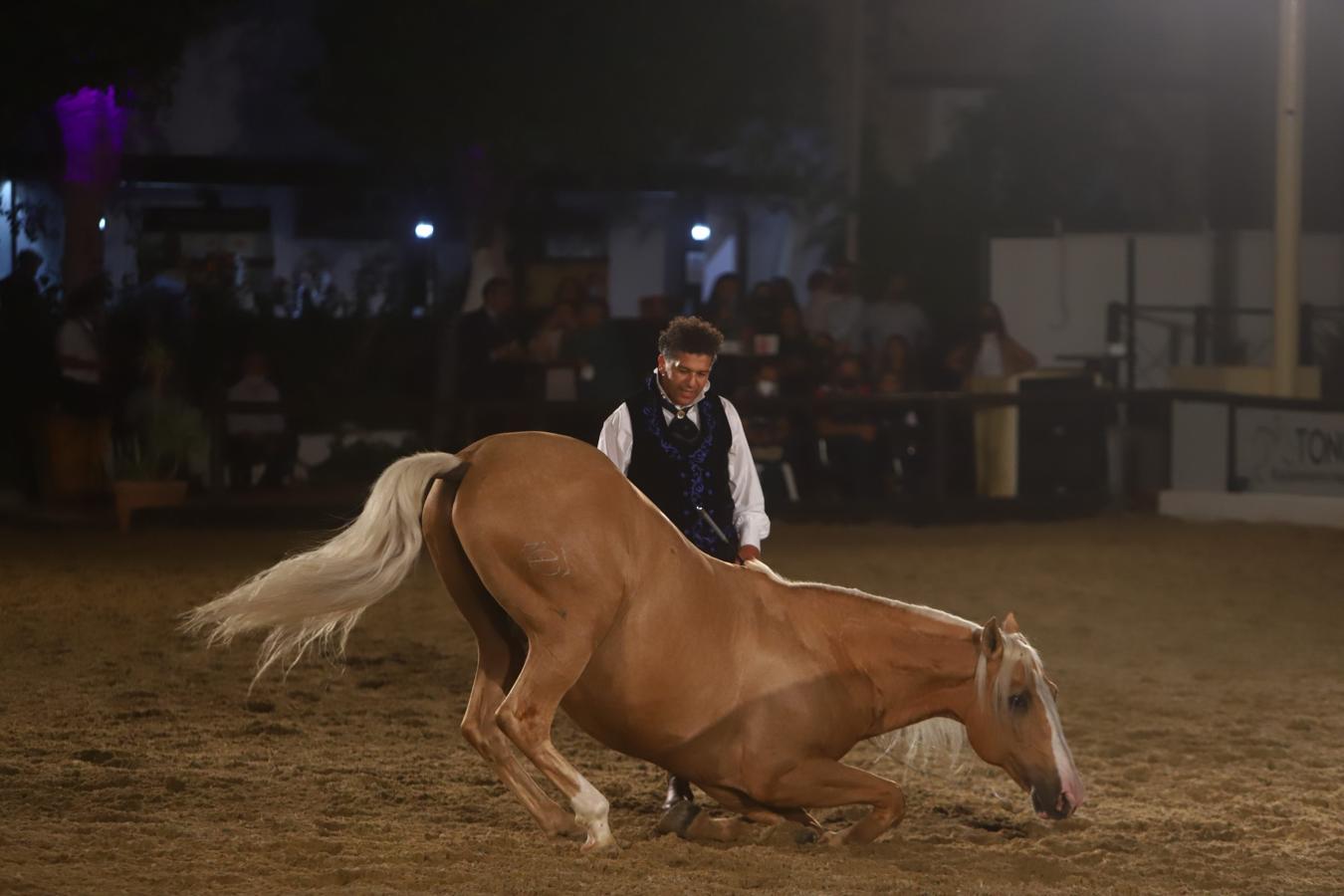 El espectáculo &#039;Armonía Ecuestre&#039; de Cabalcor, en imágenes