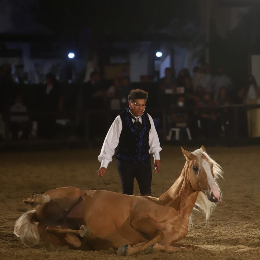 El espectáculo &#039;Armonía Ecuestre&#039; de Cabalcor, en imágenes