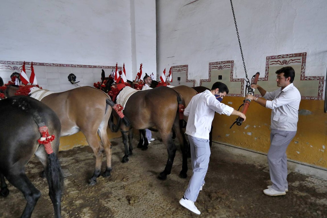 En imágenes, segunda corrida de la Feria de San Miguel en la Real Maestranza de Sevilla