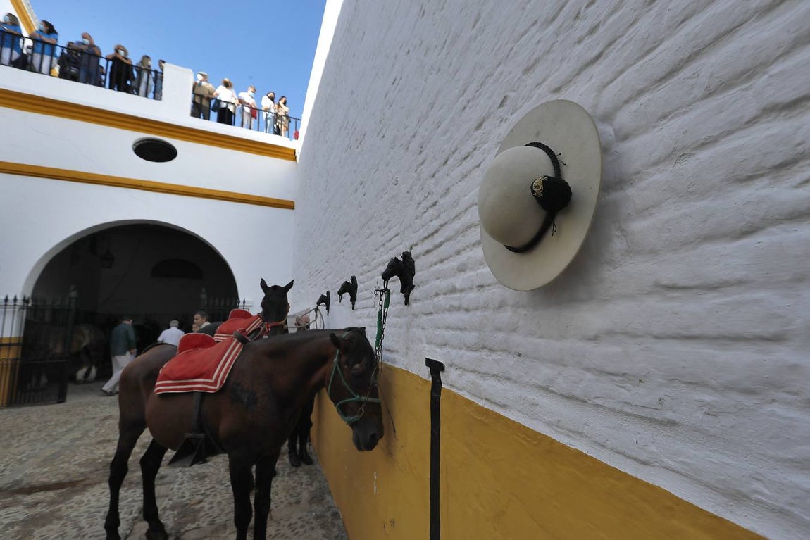 En imágenes, segunda corrida de la Feria de San Miguel en la Real Maestranza de Sevilla