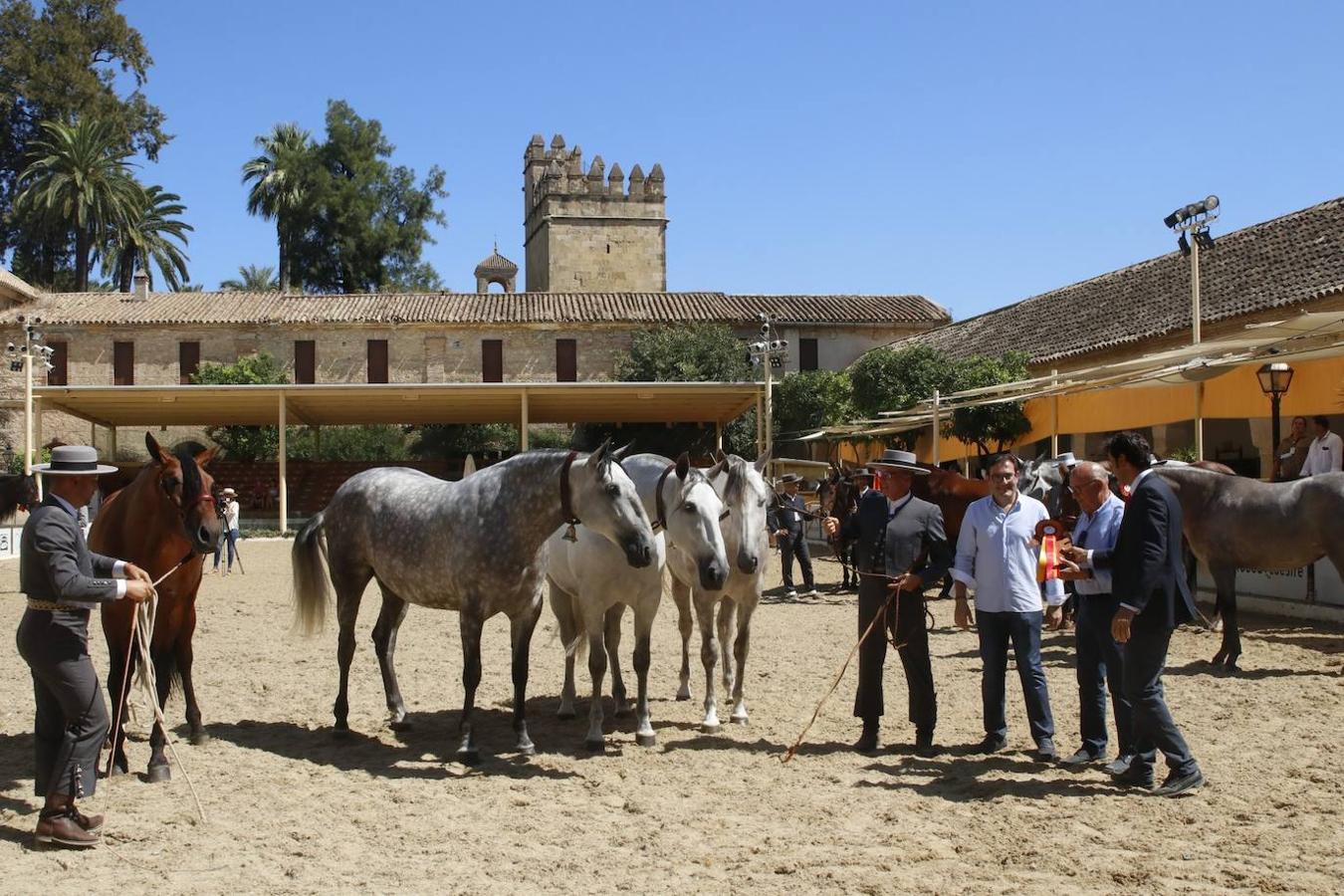 La entrega de Premios Cabalcor 2021 en Caballerizas Reales, en imágenes