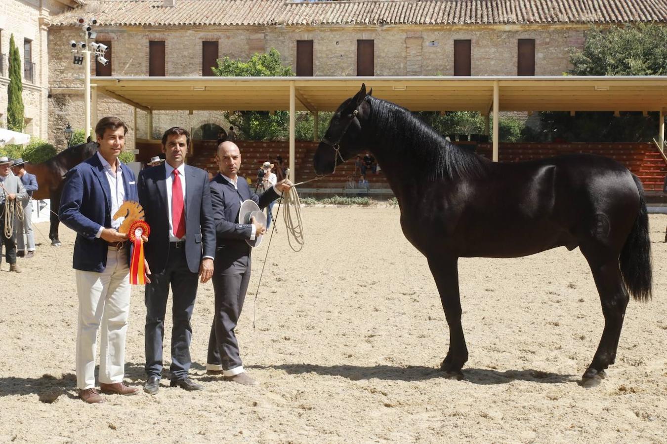 La entrega de Premios Cabalcor 2021 en Caballerizas Reales, en imágenes