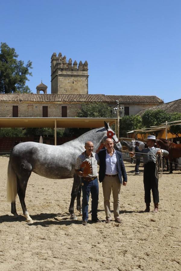 La entrega de Premios Cabalcor 2021 en Caballerizas Reales, en imágenes