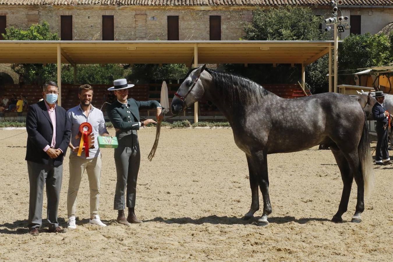 La entrega de Premios Cabalcor 2021 en Caballerizas Reales, en imágenes