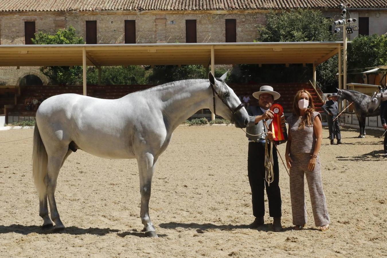 La entrega de Premios Cabalcor 2021 en Caballerizas Reales, en imágenes