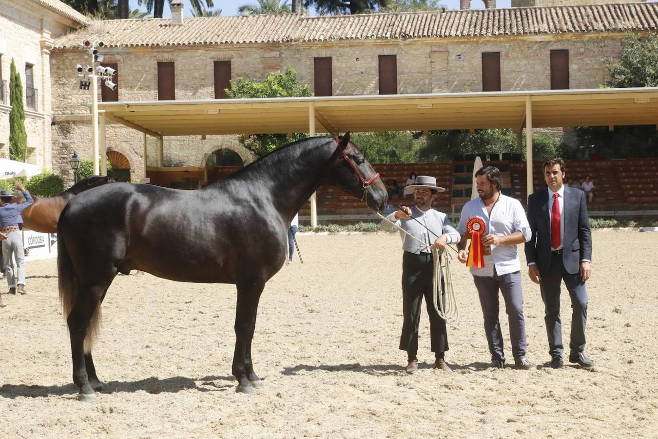 La entrega de Premios Cabalcor 2021 en Caballerizas Reales, en imágenes