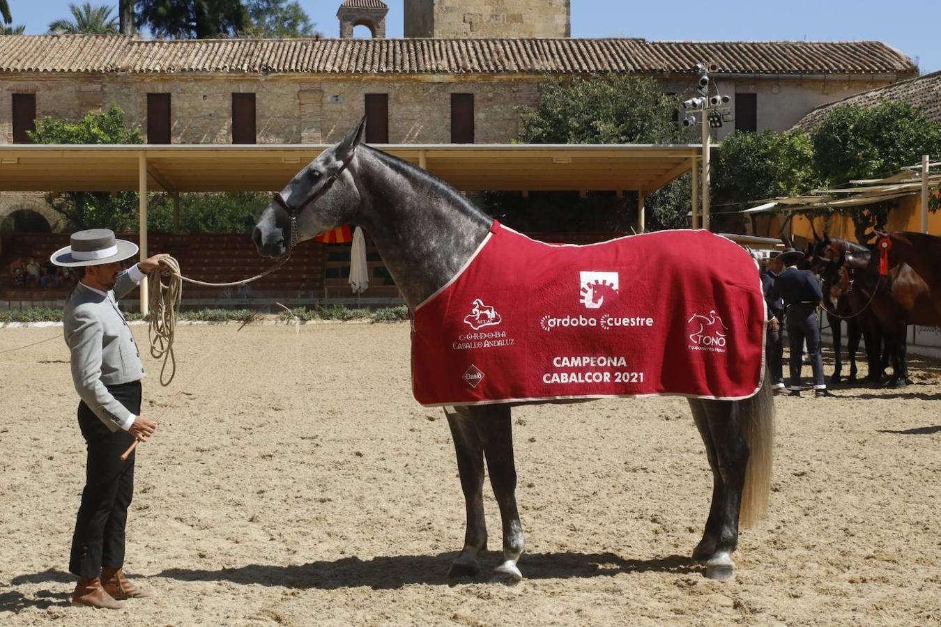 La entrega de Premios Cabalcor 2021 en Caballerizas Reales, en imágenes