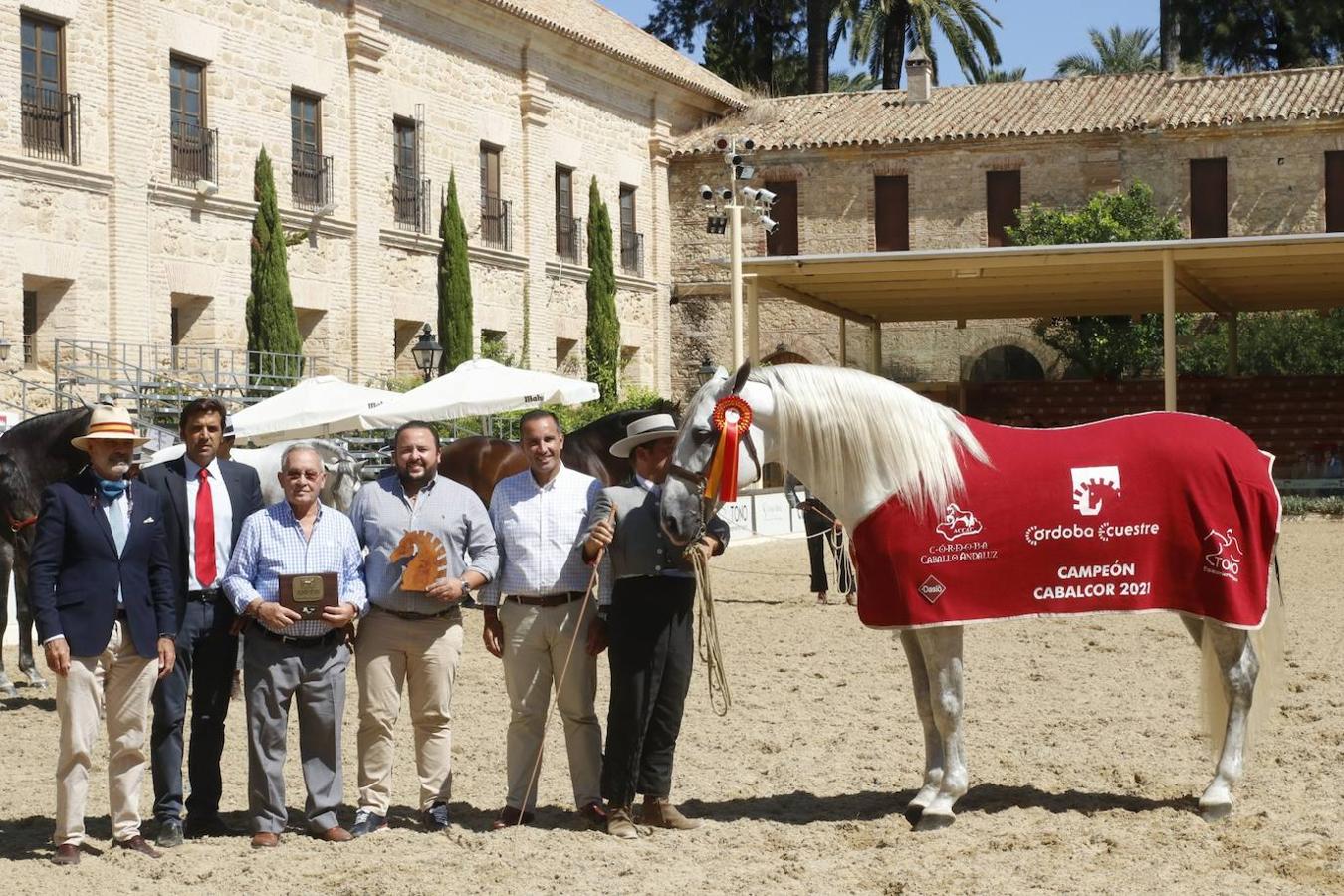 La entrega de Premios Cabalcor 2021 en Caballerizas Reales, en imágenes