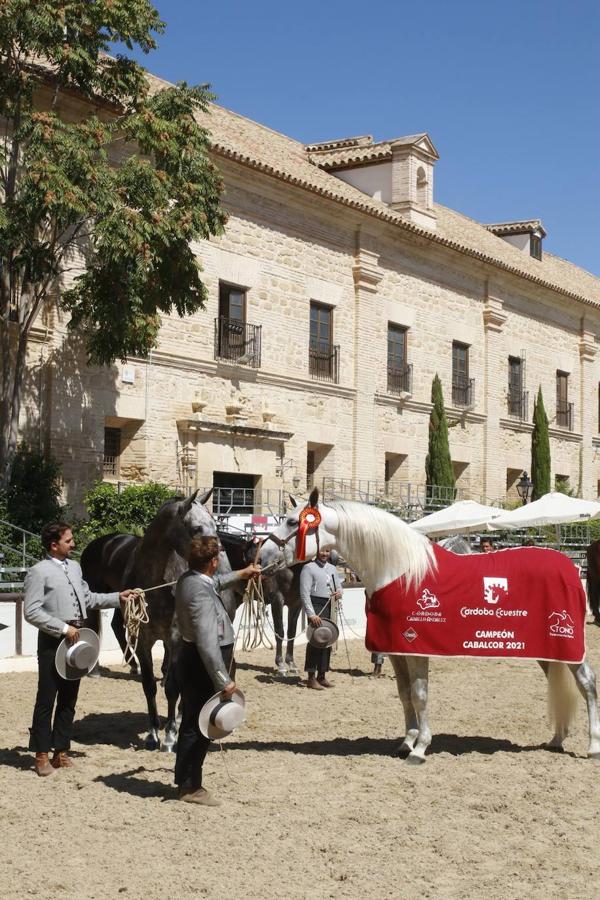 La entrega de Premios Cabalcor 2021 en Caballerizas Reales, en imágenes