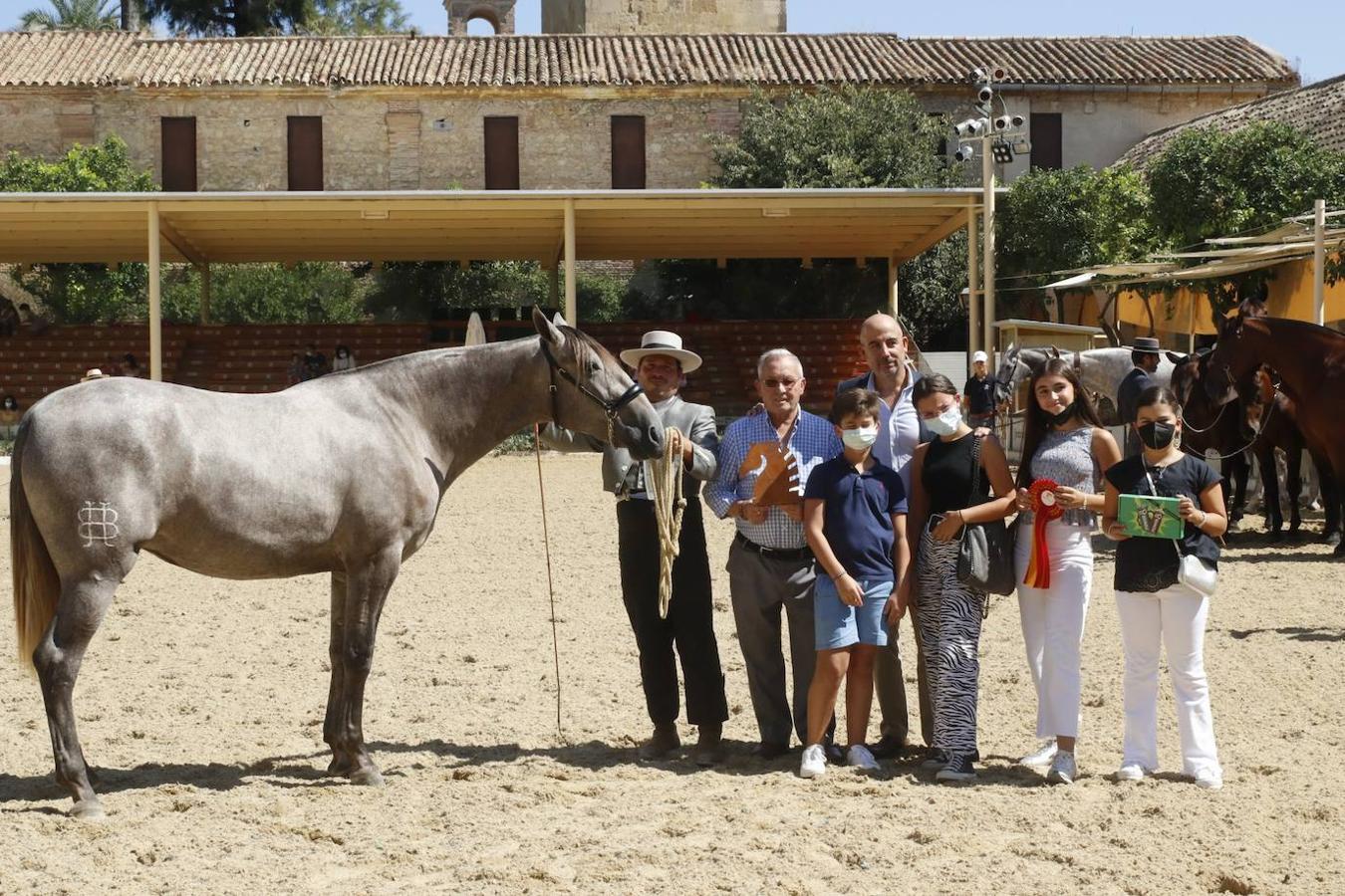 La entrega de Premios Cabalcor 2021 en Caballerizas Reales, en imágenes