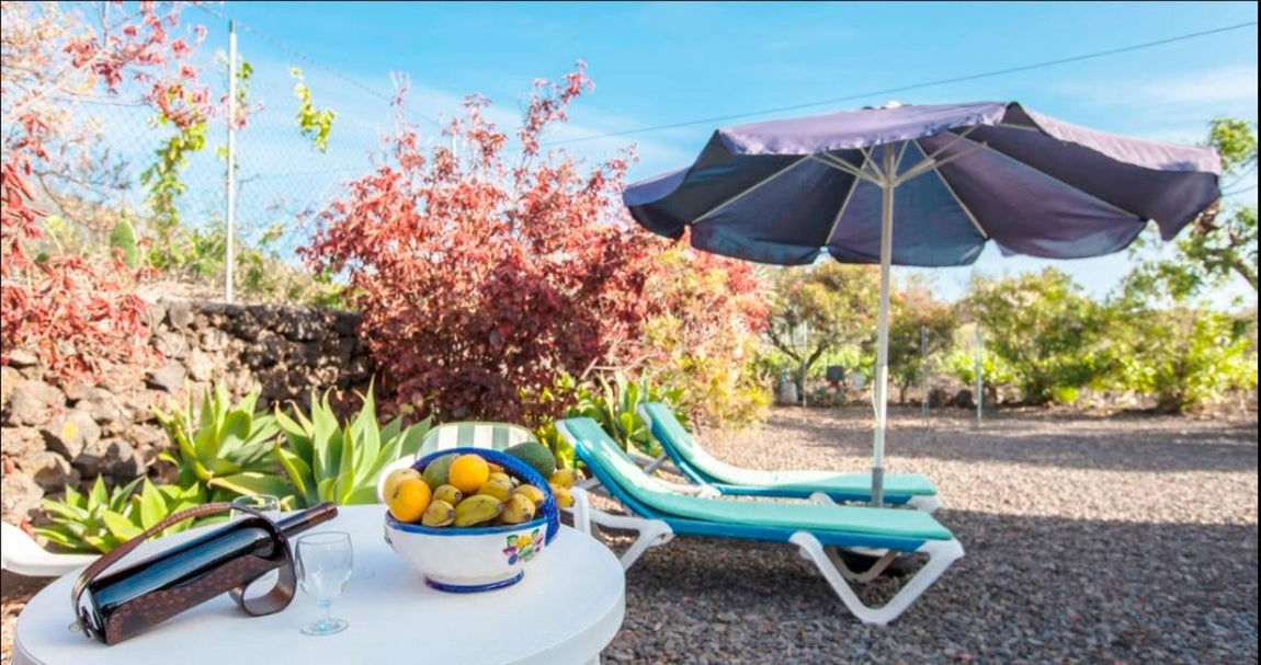 Las vides que rodeaban a Casa Vistasol también se han perdido para siempre. 