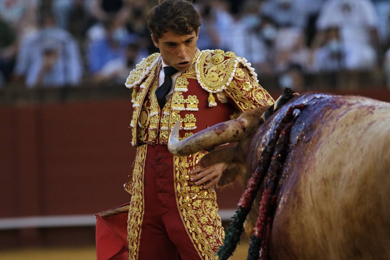 El sevillano  Rafael Serna, de grana y oro