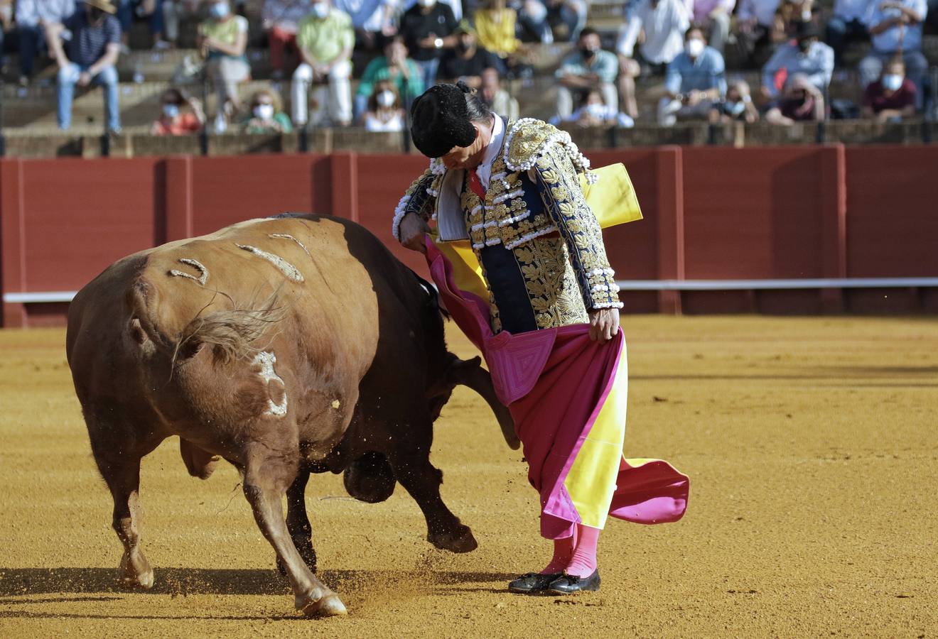 Diego Urdiales, en la Mestranza