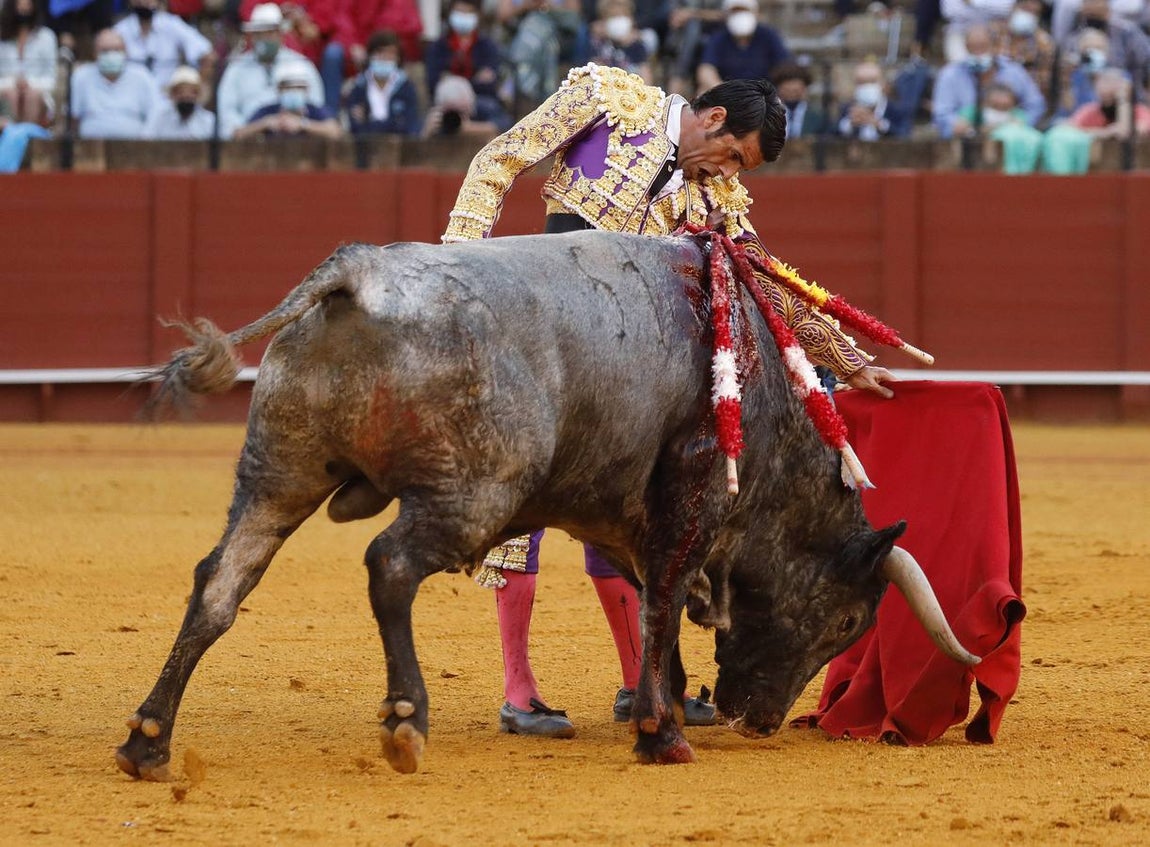 Emilio de Justo,  de nazareno y oro, en la Maestranza
