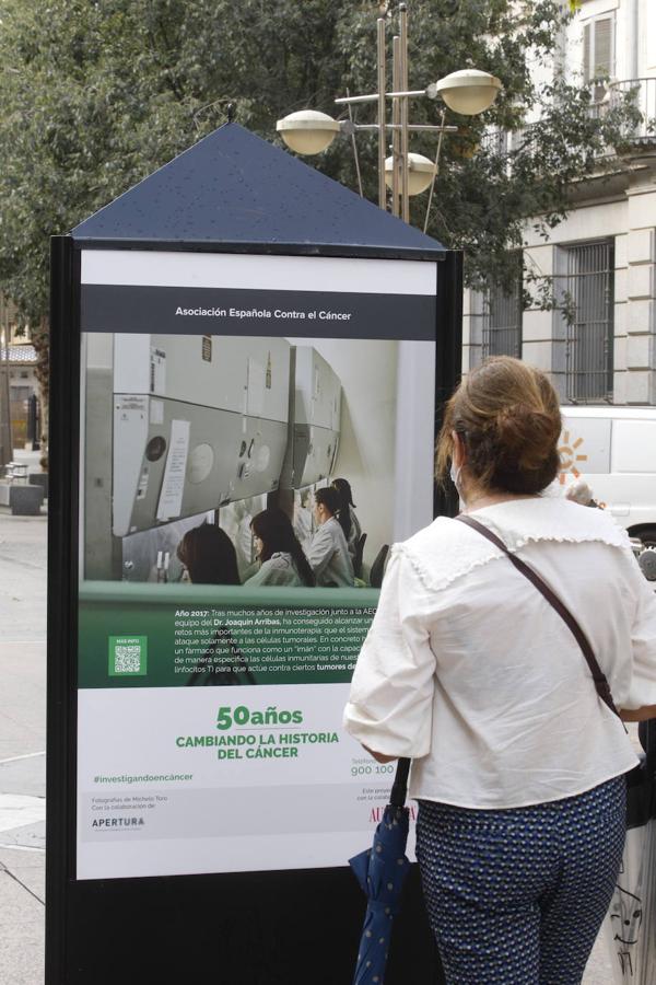 Los actos del día contra el cáncer en Córdoba, en imágenes