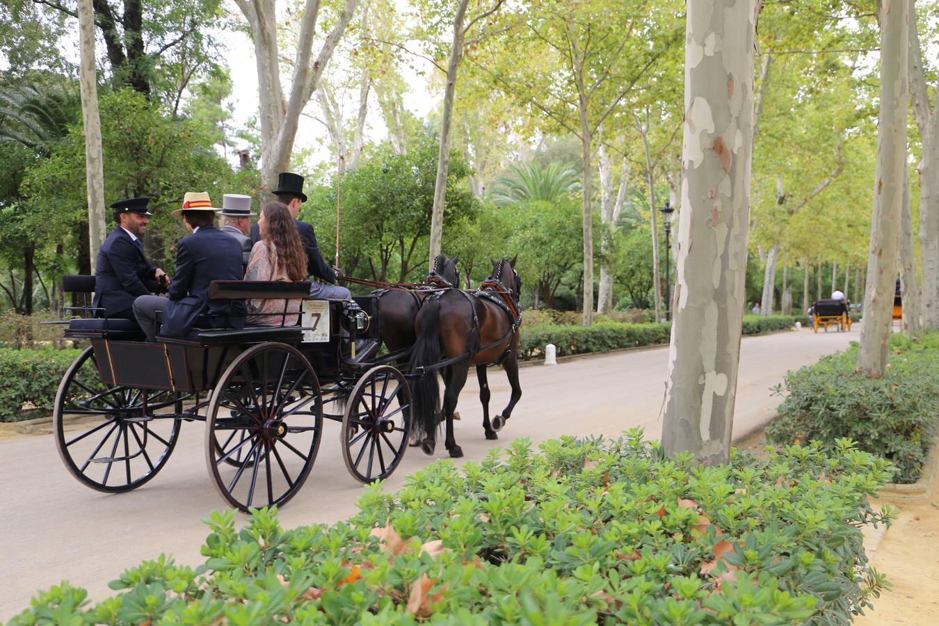 Paseo de carruajes por el Parque de María Luisa