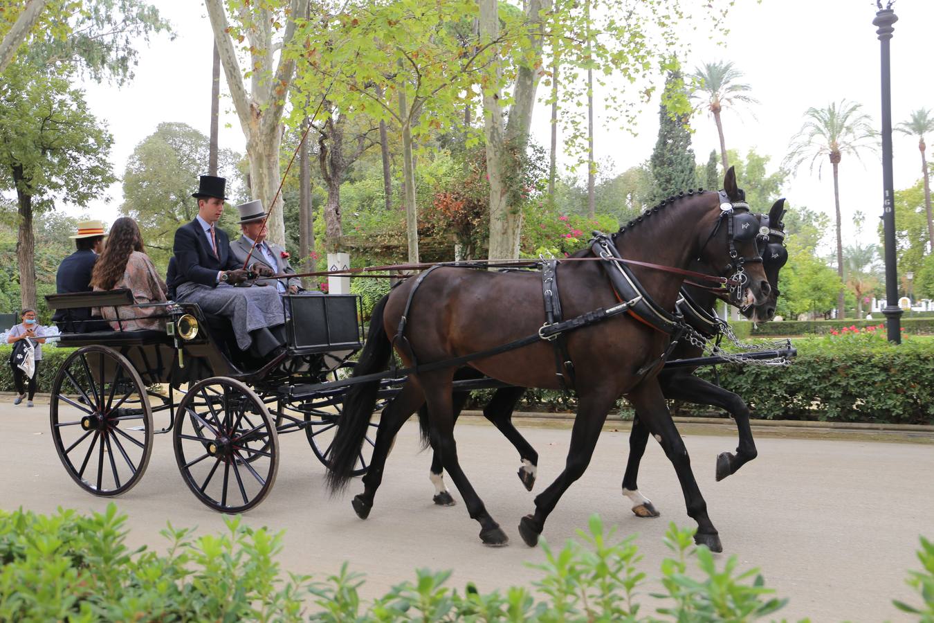 Paseo de carruajes por el Parque de María Luisa