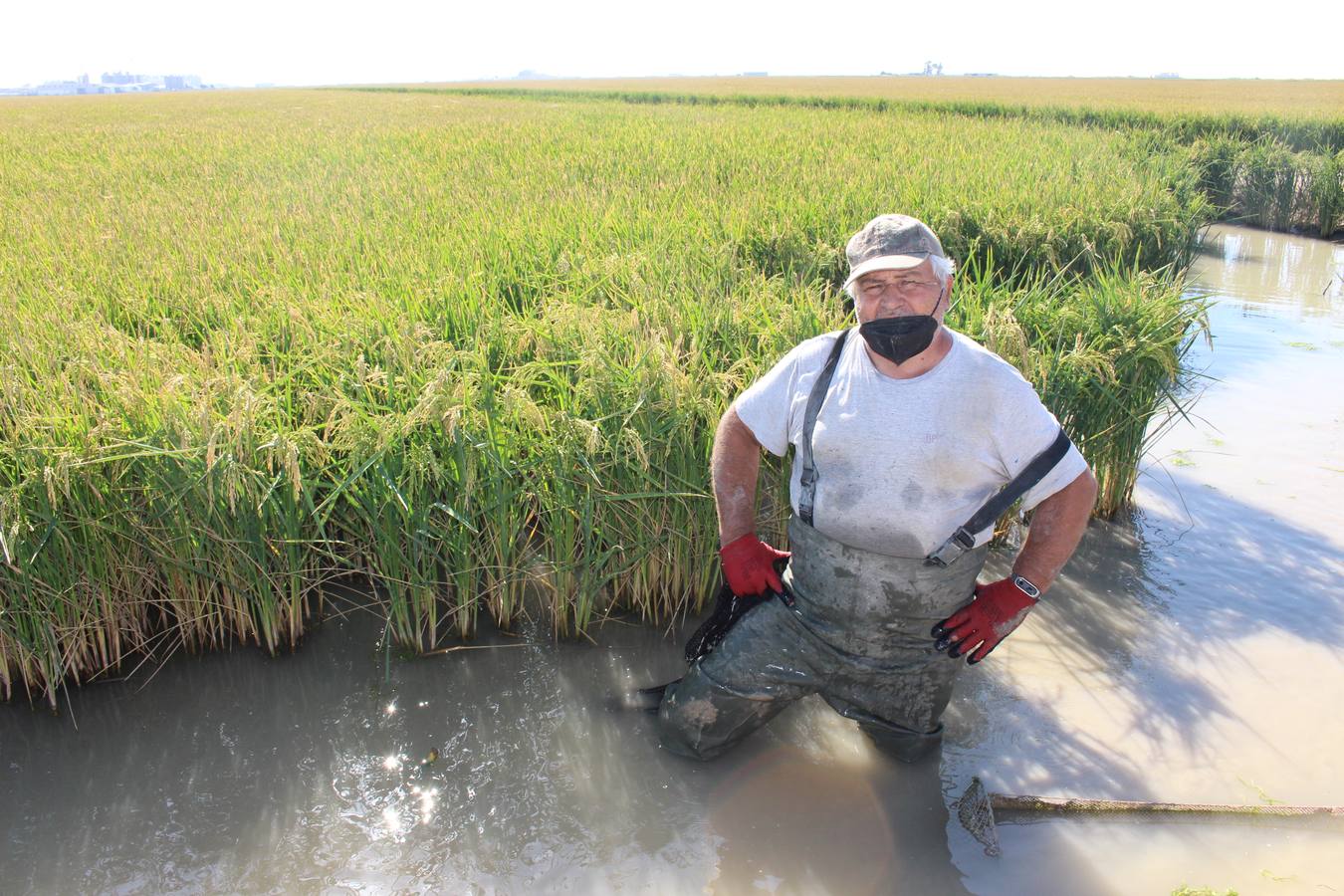 En imágenes, malos tiempos para la pesca del cangrejo rojo en Sevilla