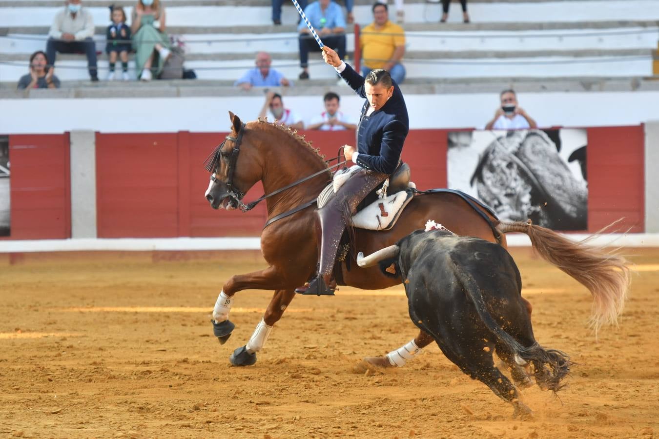 En imágenes, la triunfal tarde de rejones en la feria taurina de Pozoblanco