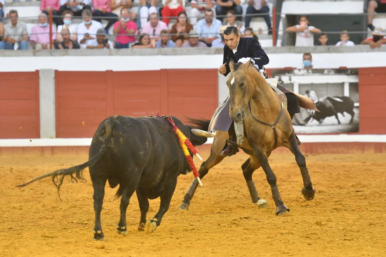 En imágenes, la triunfal tarde de rejones en la feria taurina de Pozoblanco