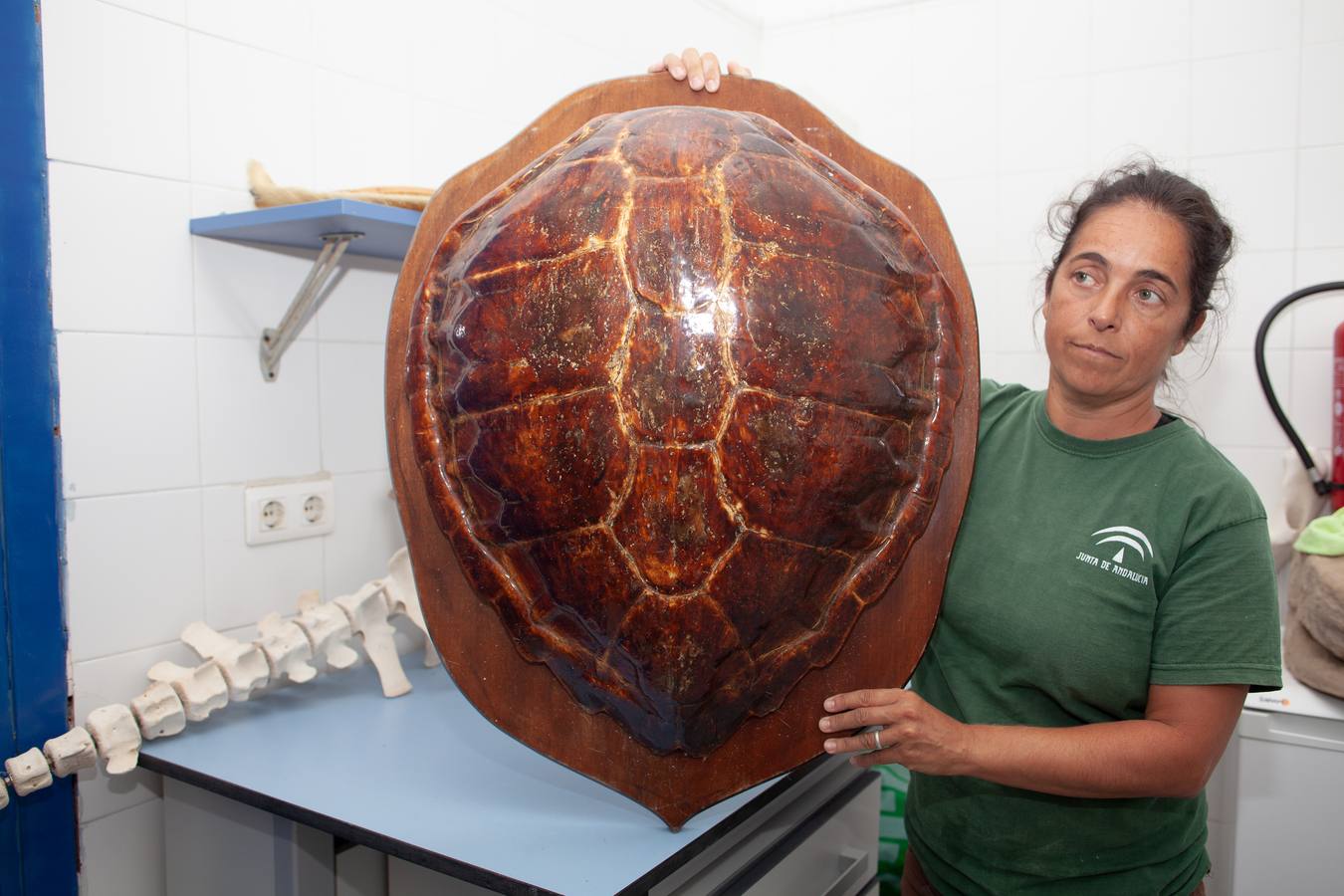 Instalaciones y especies del Centro de Gestión Sostenible del Medio Marino Andaluz del Estrecho