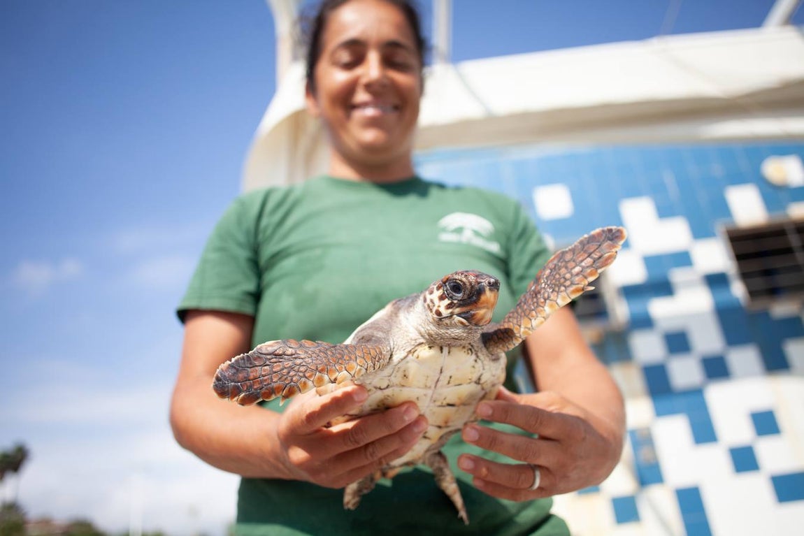 Instalaciones y especies del Centro de Gestión Sostenible del Medio Marino Andaluz del Estrecho