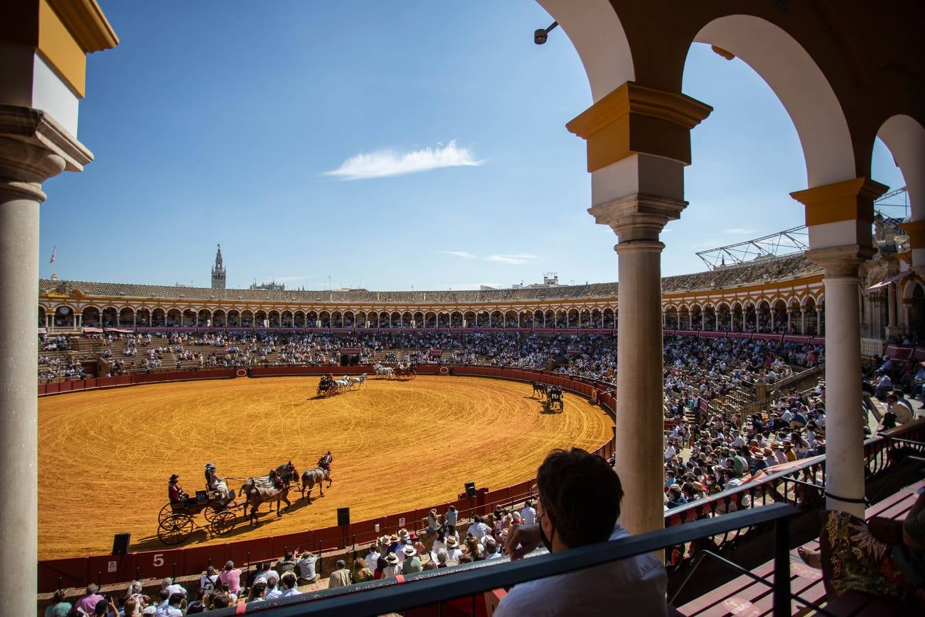 La Exhibición de Enganches vuelve a la Real Maestranza de Sevilla