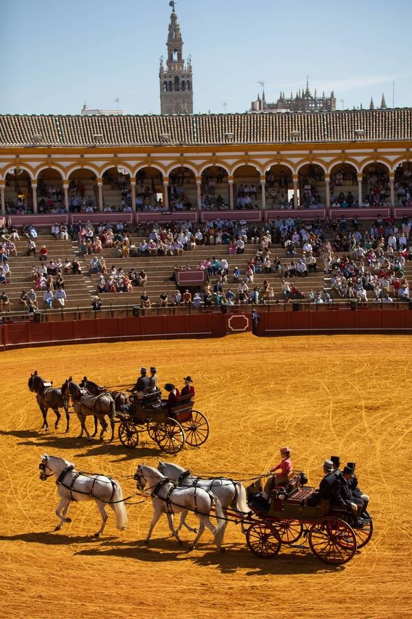 La Exhibición de Enganches vuelve a la Real Maestranza de Sevilla