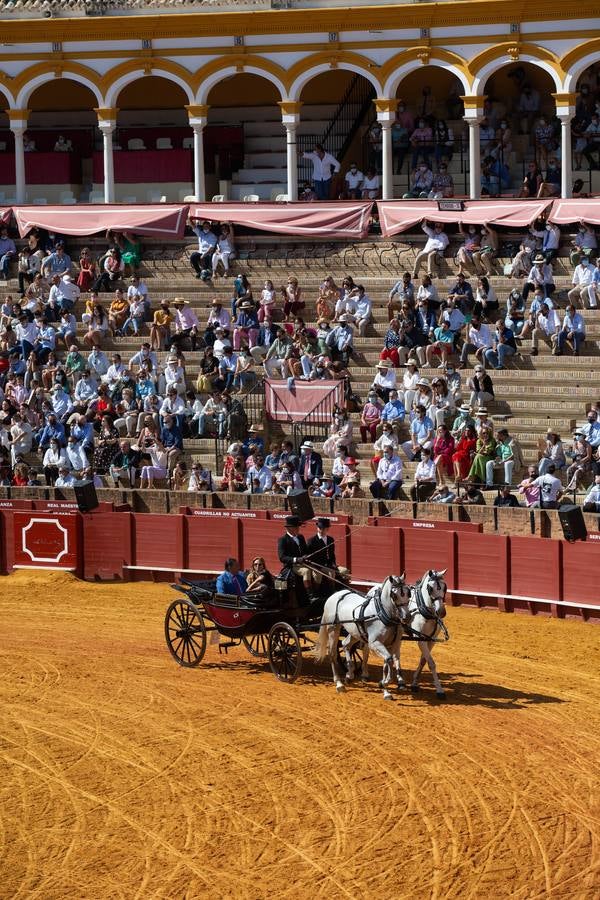 La Exhibición de Enganches vuelve a la Real Maestranza de Sevilla