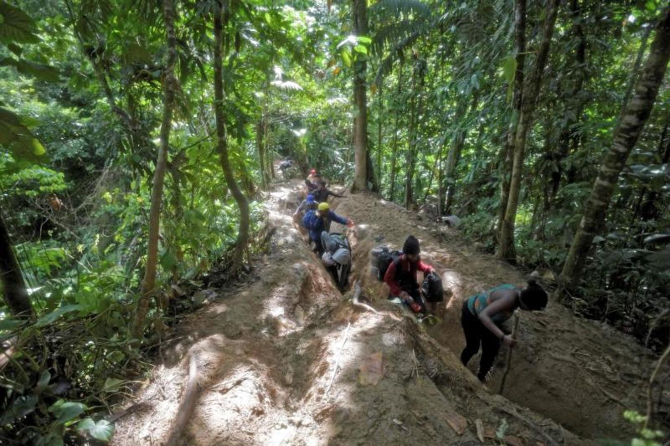 A su paso por la selva se enfrentan a barrancos escarpados, ríos, serpientes y criminales vinculados con el tráfico de drogas. 