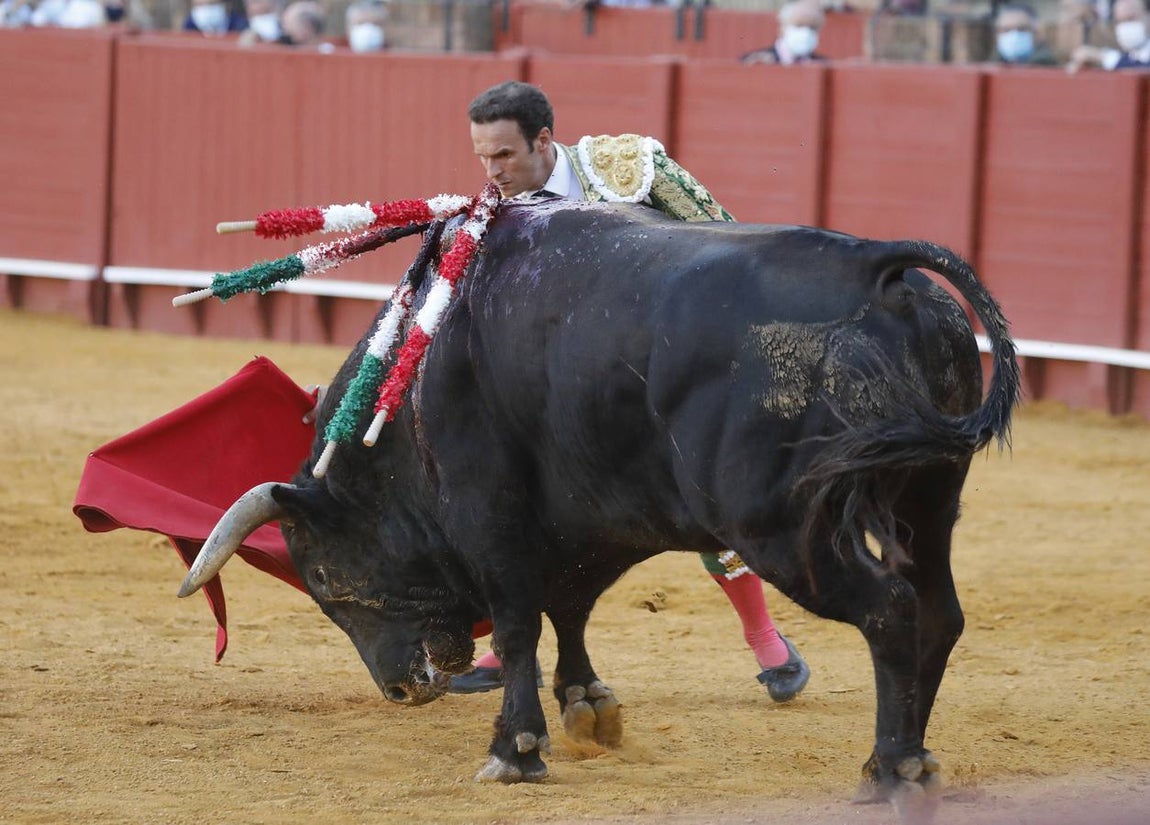 Antonio Ferrera, de  verde esperanza y oro en la Maestranza