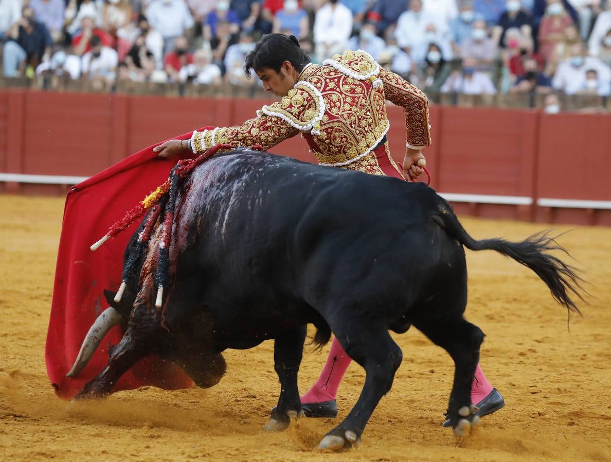 Miguel Ángel Perera, de sangre de toro y oro en la Maestranza