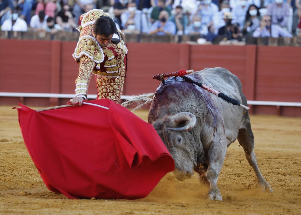 Miguel Ángel Perera, de sangre de toro y oro en la Maestranza