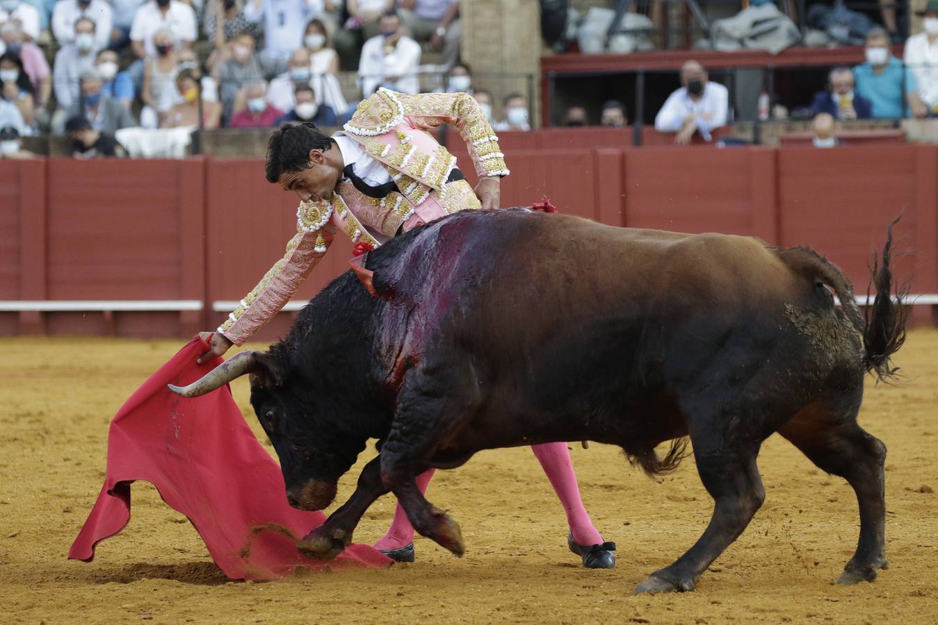 Paco Ureña, de rosa y oro en la Maestranza