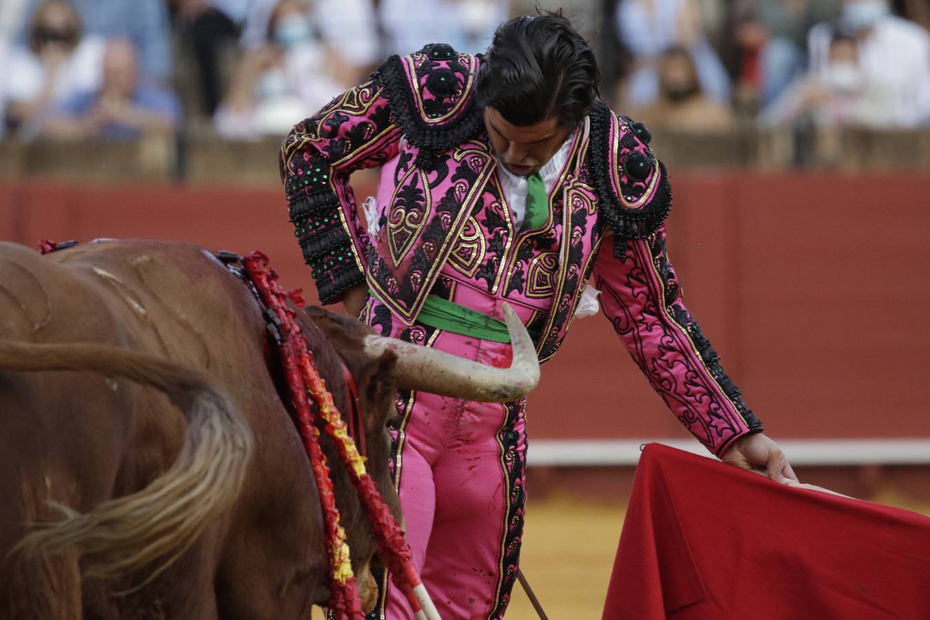 Morante de la Puebla, de rosa y azabache en la Maestranza