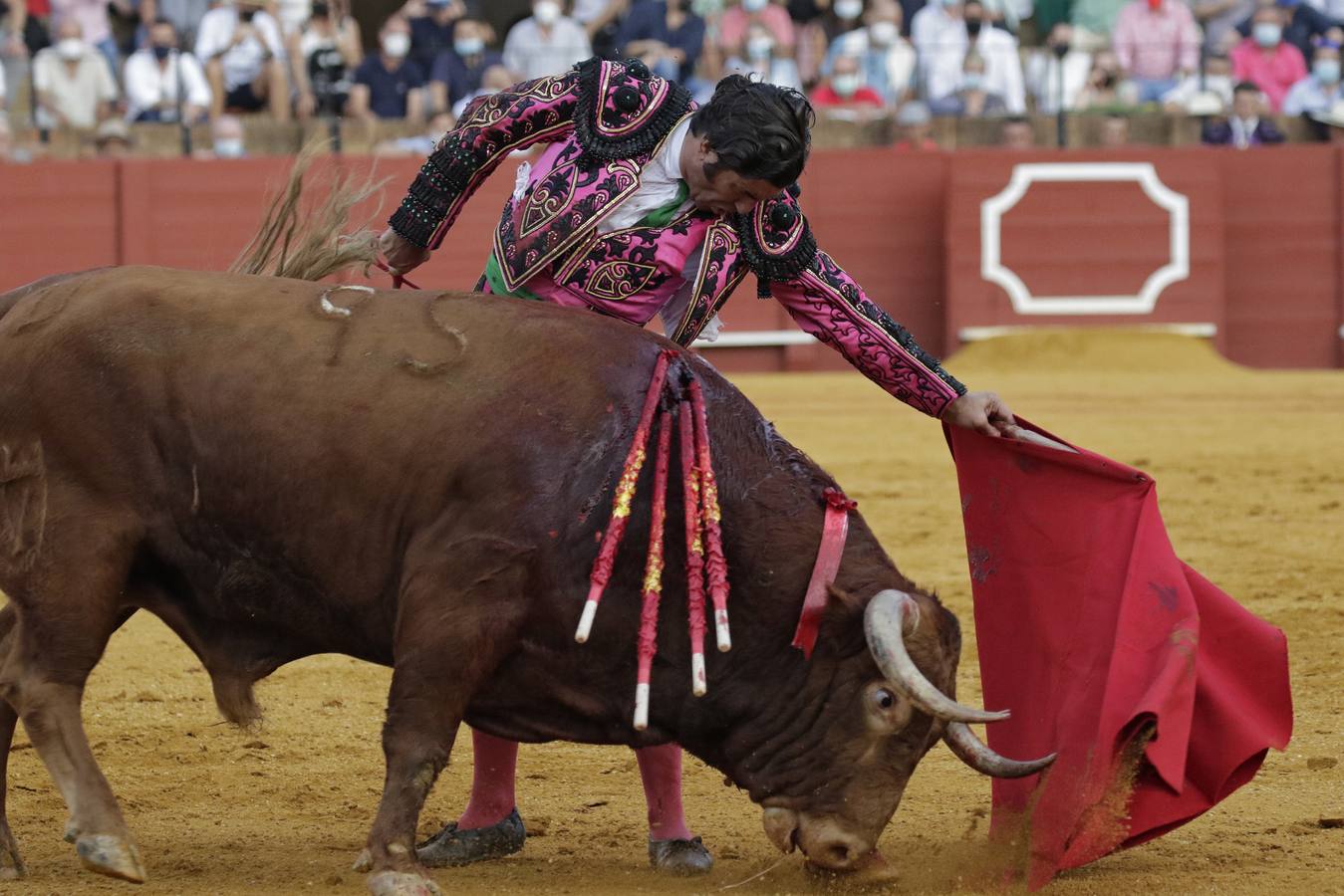 Morante de la Puebla, de rosa y azabache en la Maestranza