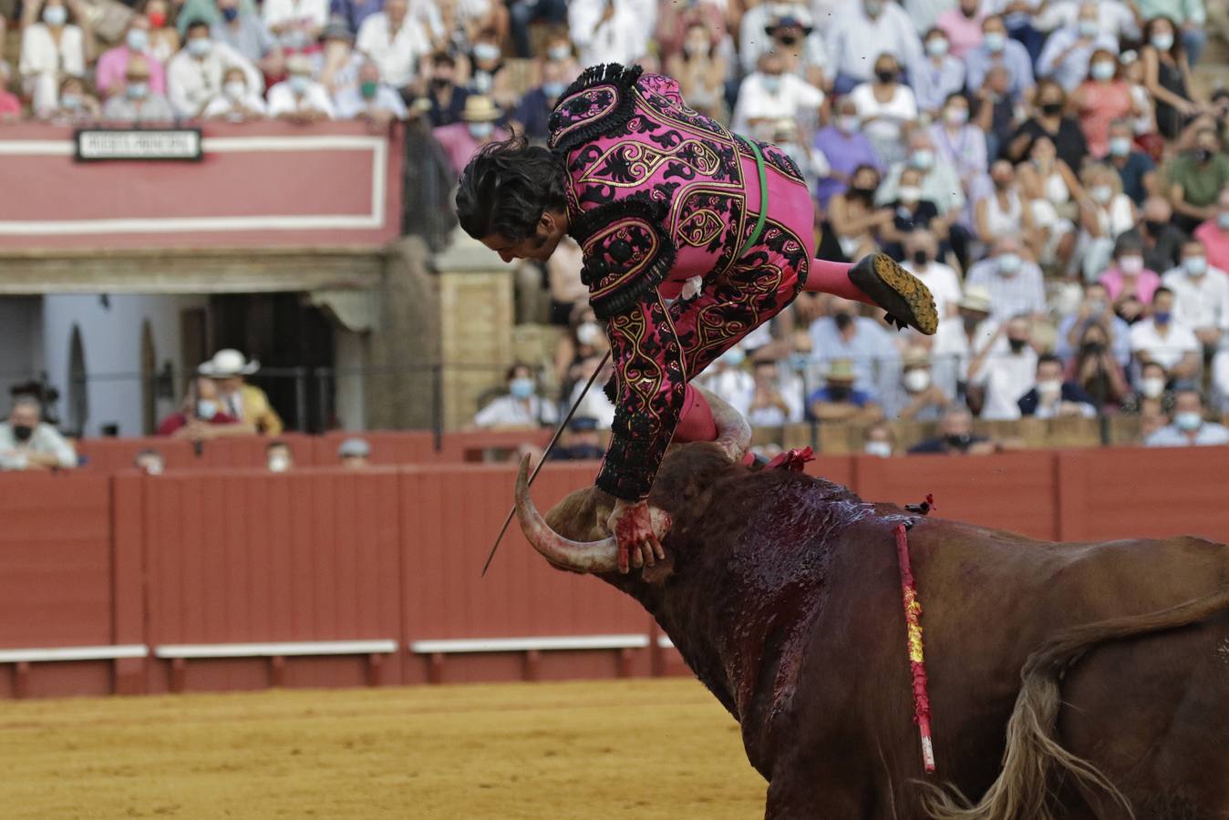 Morante de la Puebla, de rosa y azabache en la Maestranza