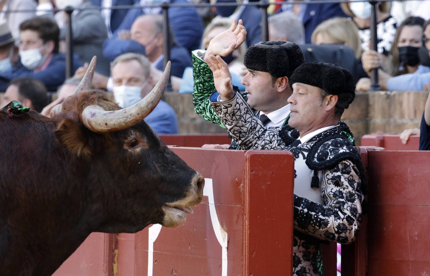 En imágenes, Manuel Escribano corta dos orejas en la última corrida de la Feria de San Miguel