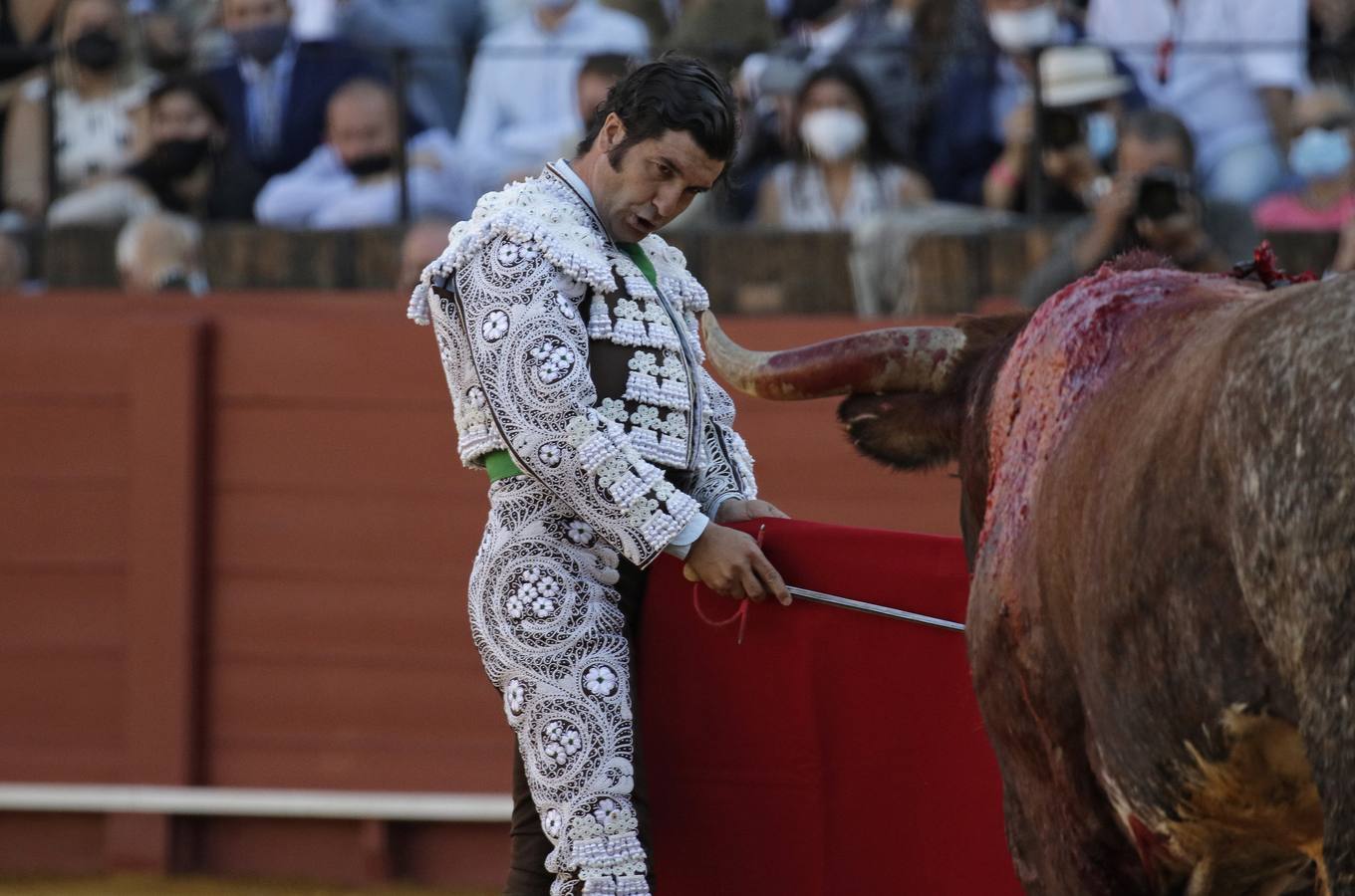 Morante de la Puebla, de habano y blanco en la Maestranza