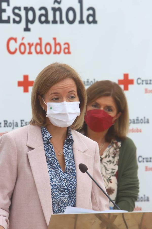 La presentación de la primera donación de órganos en la Cruz Roja de Córdoba, en imágenes