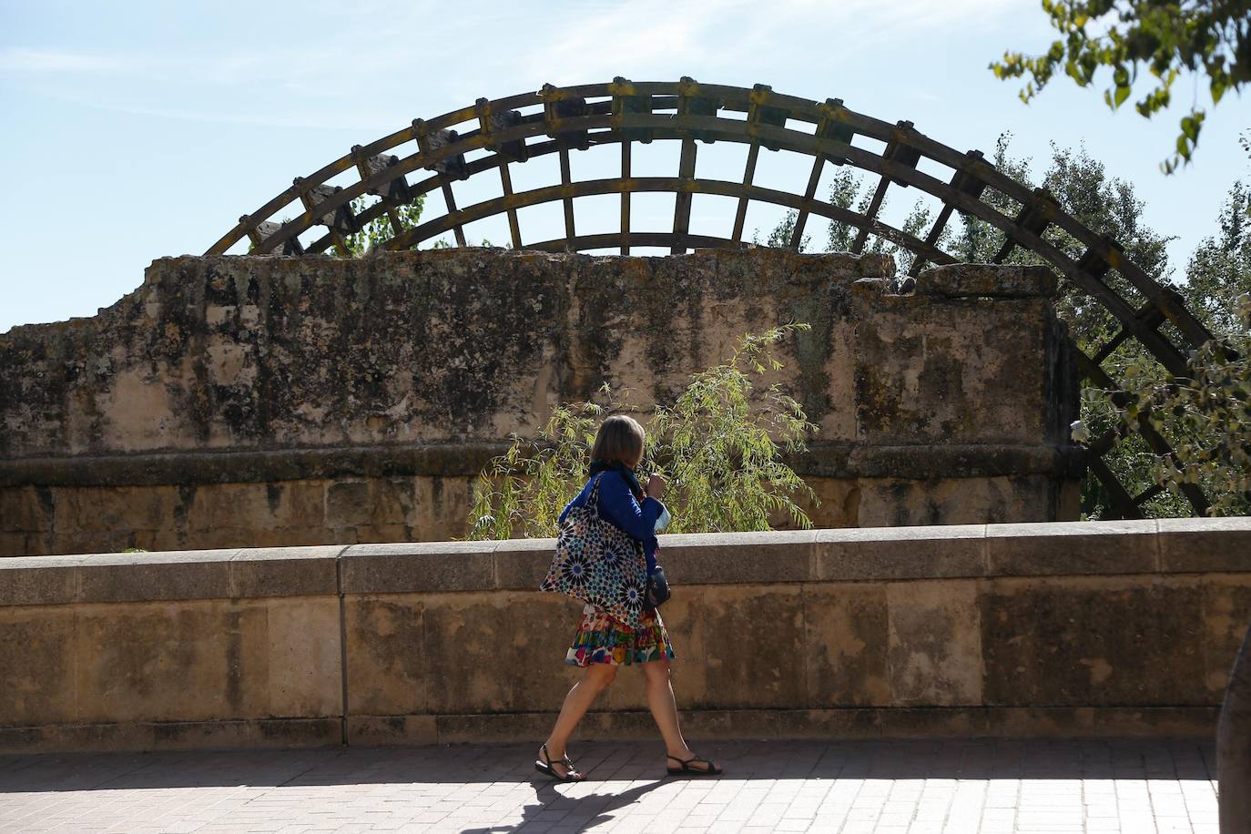 En imágenes, la vegetación tapa los molinos del Guadalquivir en Córdoba