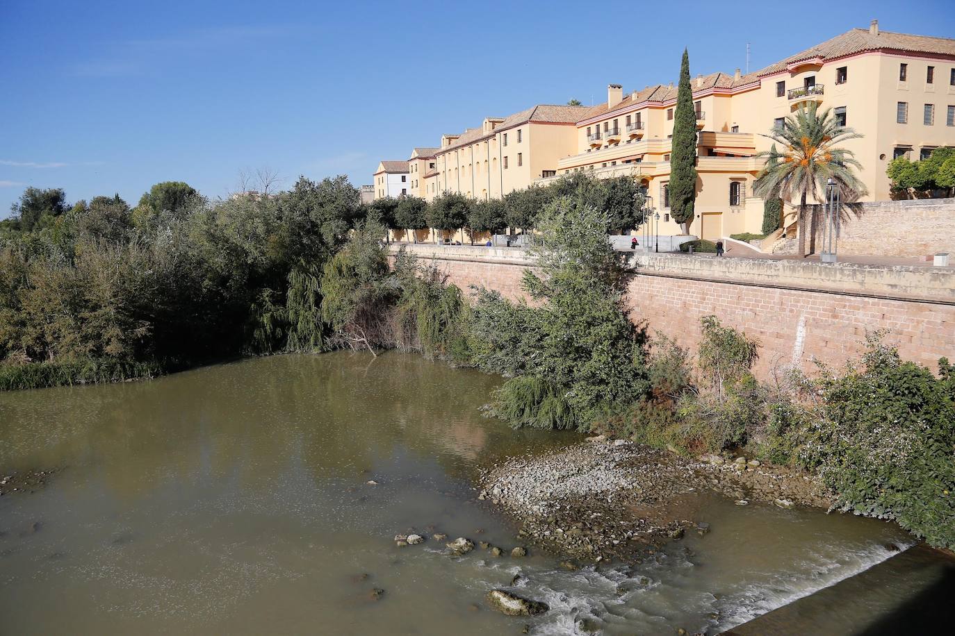 En imágenes, la vegetación tapa los molinos del Guadalquivir en Córdoba