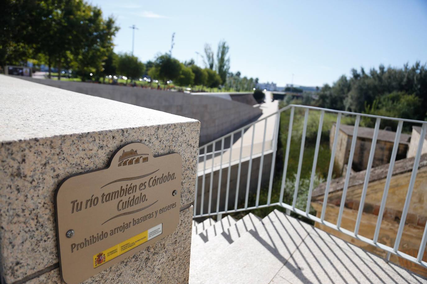 En imágenes, la vegetación tapa los molinos del Guadalquivir en Córdoba