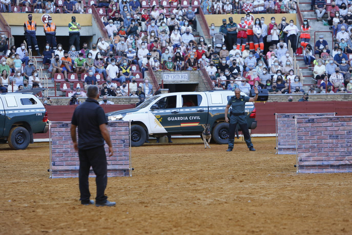 La exhibición de la Guardia Civil en la plaza de toros de Córdoba, en imágenes