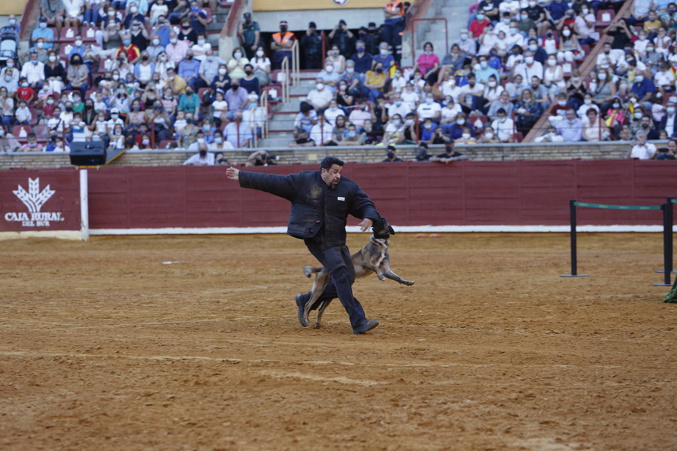 La exhibición de la Guardia Civil en la plaza de toros de Córdoba, en imágenes